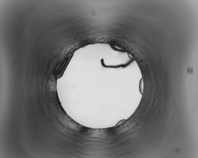 X0000099230384200805151635