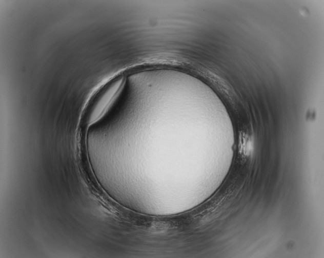 X0000099230388200805151634