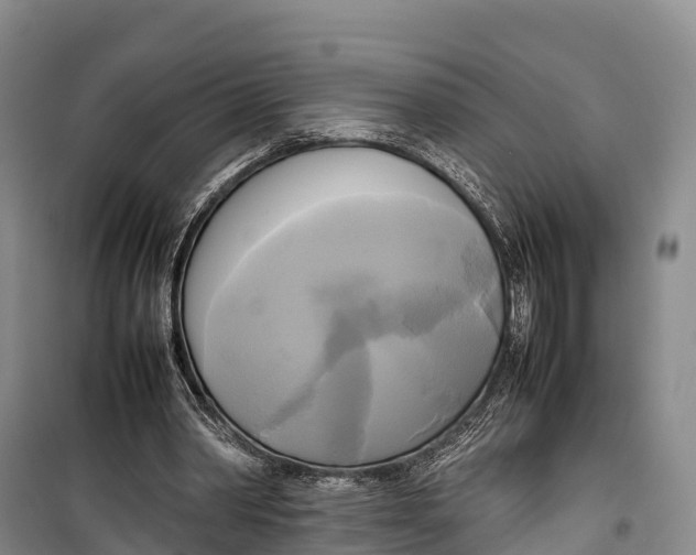 X0000099230390200805151634