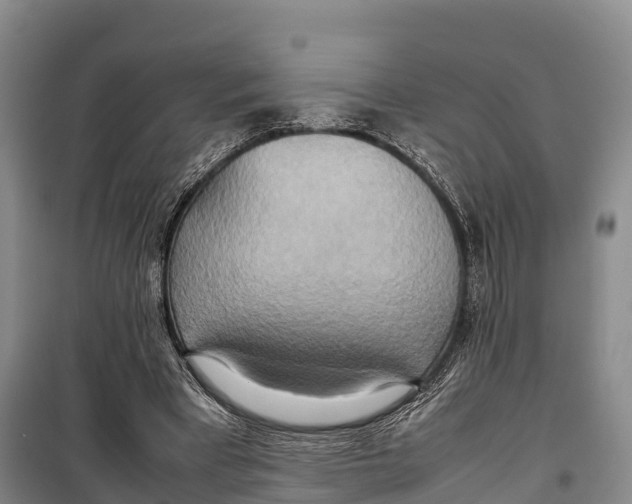 X0000099230393200805151634