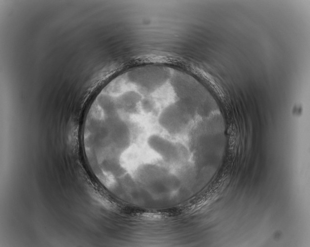 X0000099230394200805151634