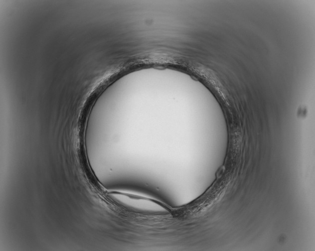 X0000099230395200805151634