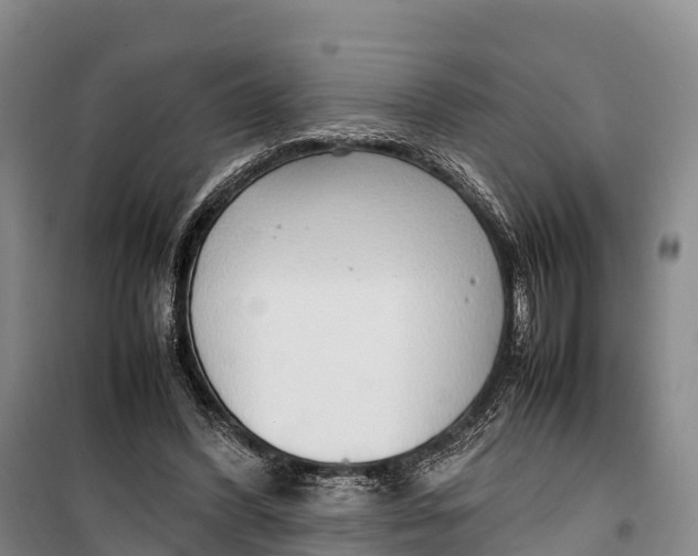 X0000099230396200805151634