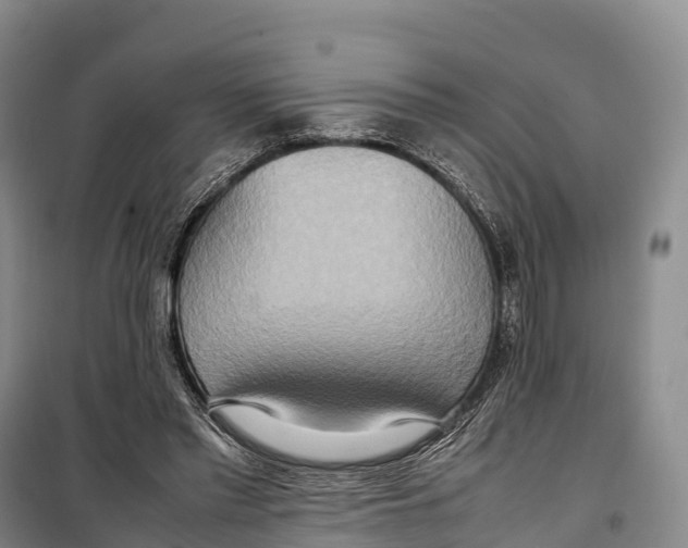 X0000099230397200805151634