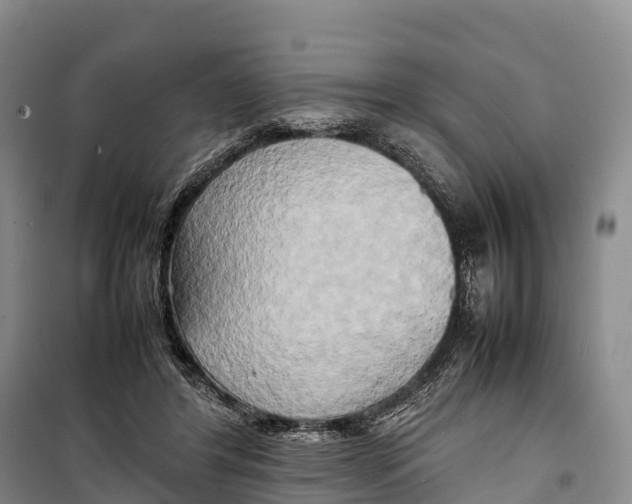 X0000099230404200805151634