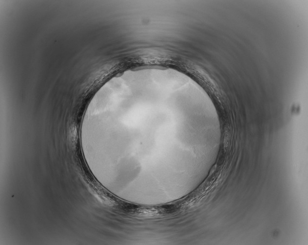 X0000099230405200805151634