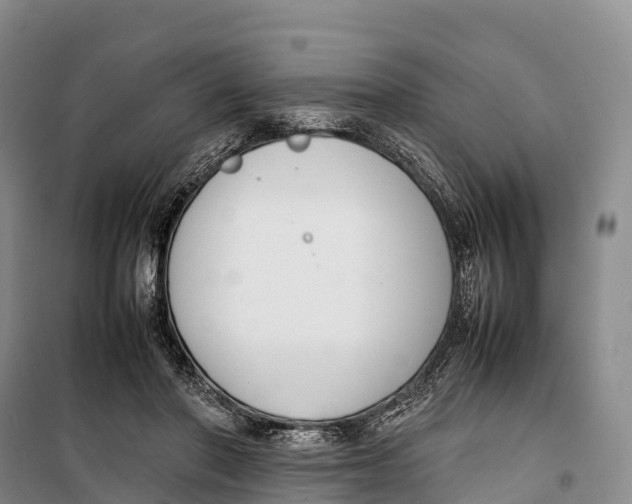 X0000099230406200805151634