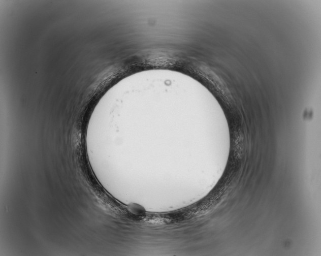 X0000099230407200805151634