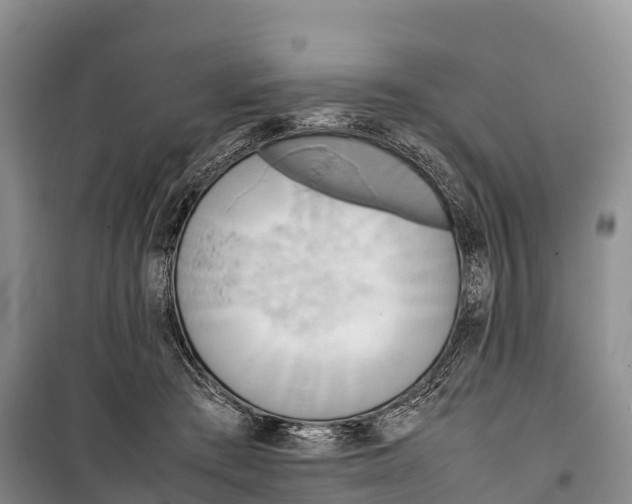 X0000099230409200805151634