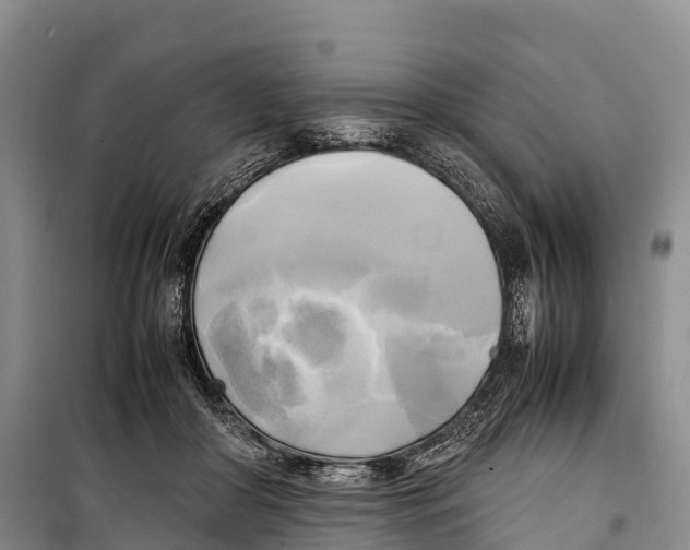 X0000099230410200805151634