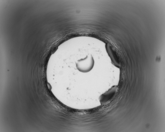 X0000099230411200805151634