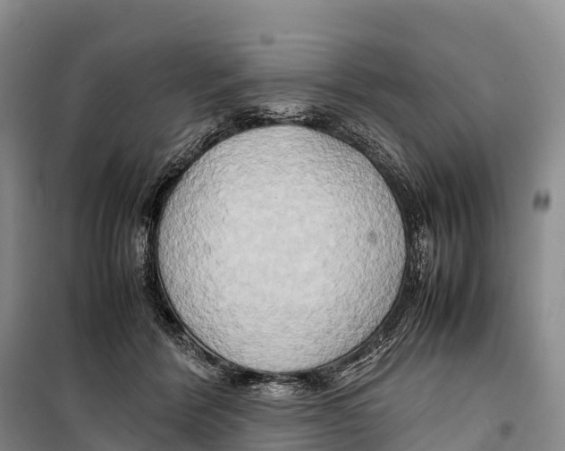 X0000099230412200805151634