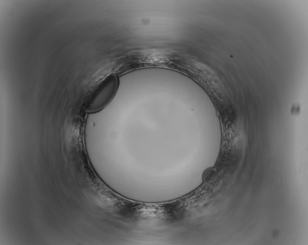 X0000099230415200805151634