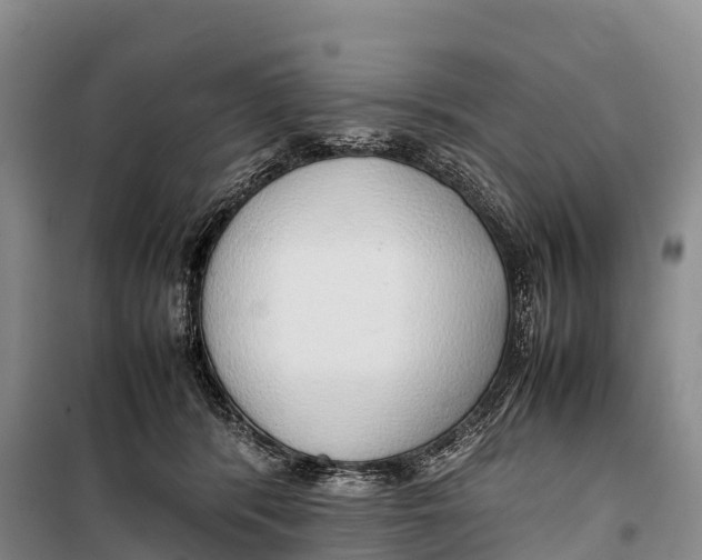 X0000099230416200805151634