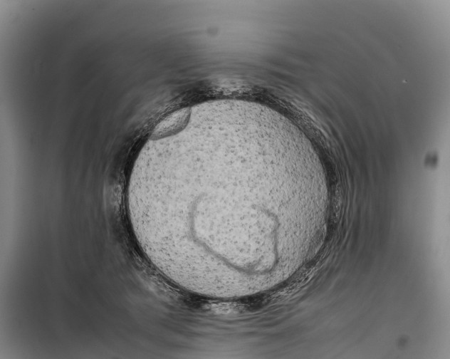 X0000099230417200805151634