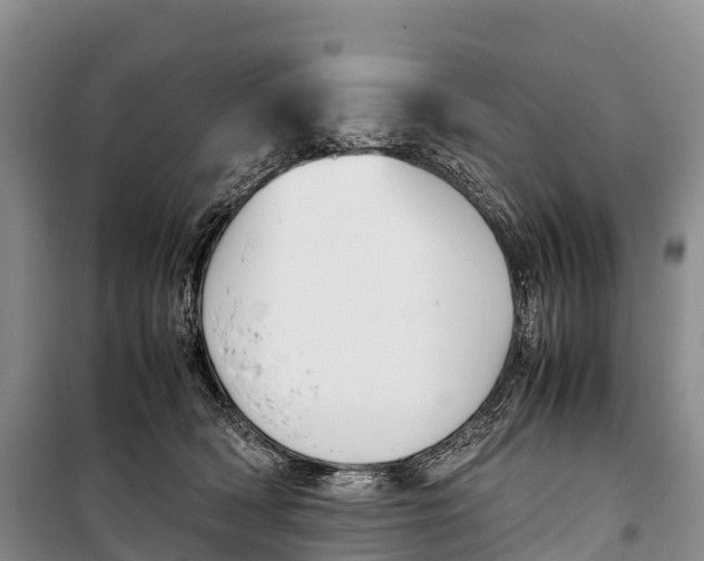 X0000099230418200805151634