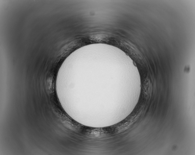 X0000099230420200805151634