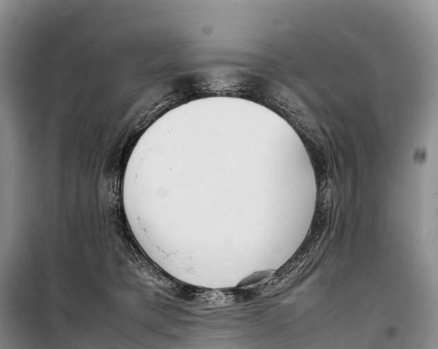 X0000099230421200805151634