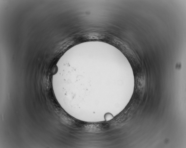 X0000099230422200805151634