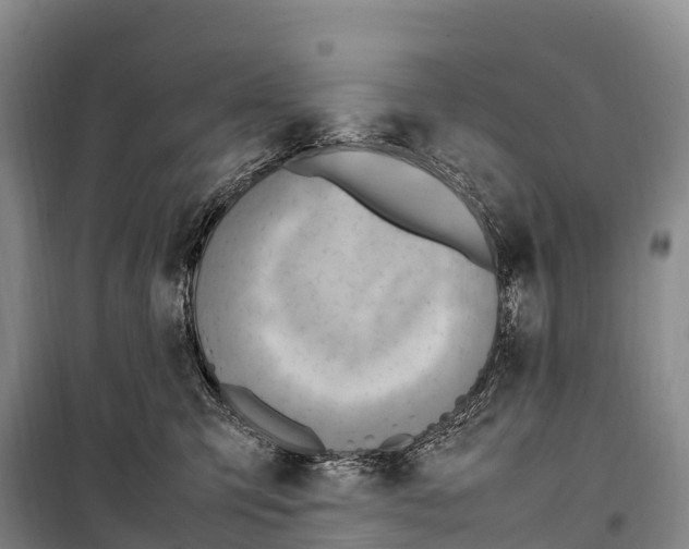 X0000099230423200805151634