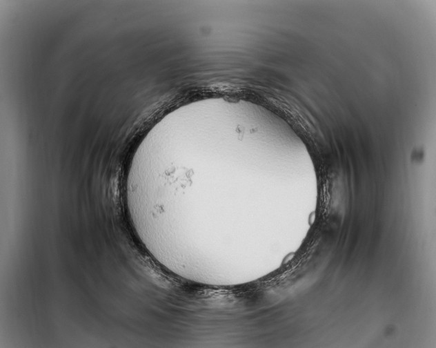 X0000099230424200805151634