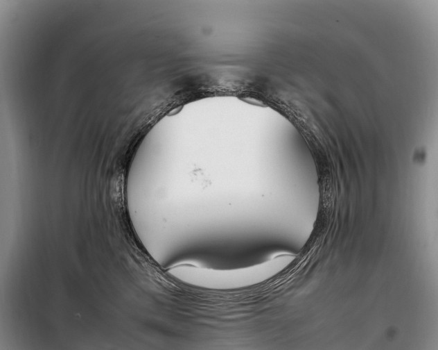 X0000099230425200805151634