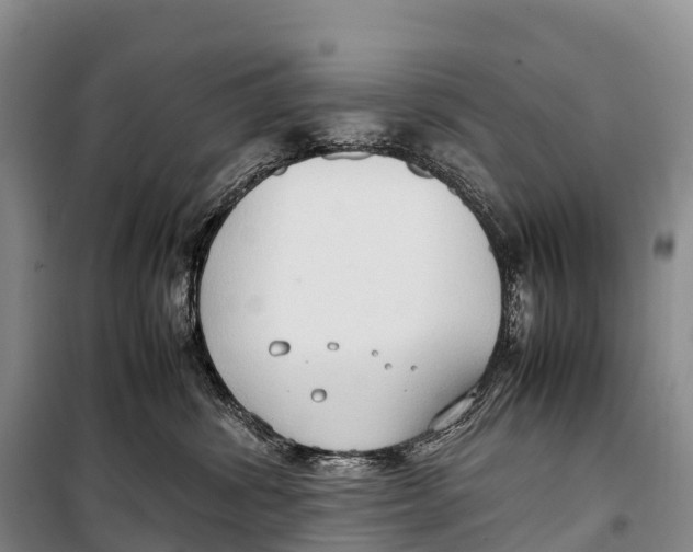 X0000099230428200805151634