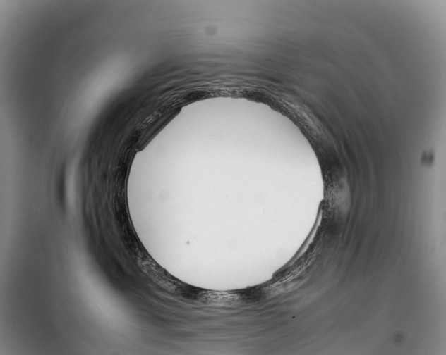 X0000099230429200805151634