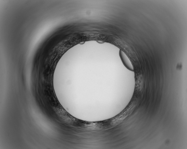 X0000099230430200805151634