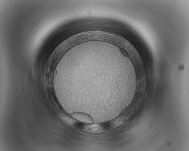 X0000099230431200805151634