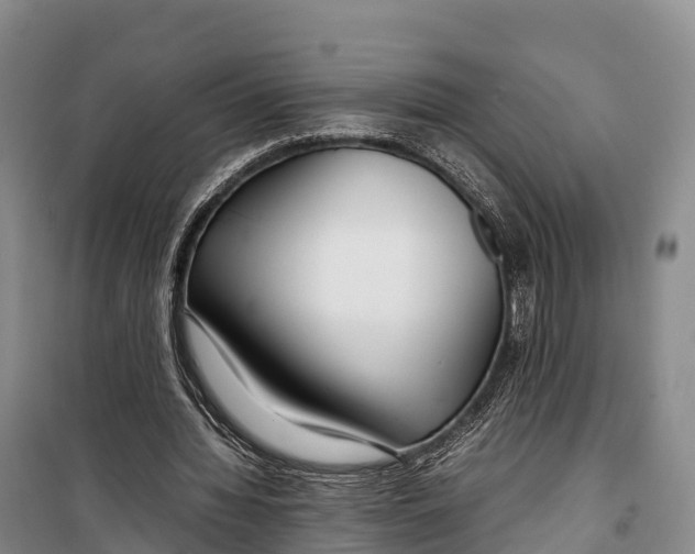 X0000099230436200805151633