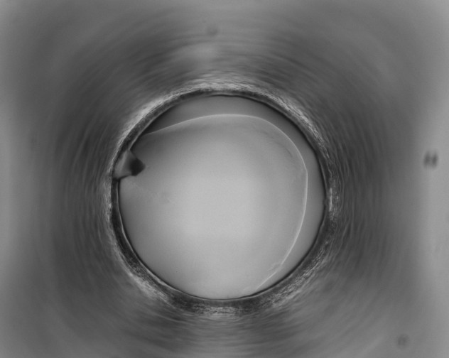 X0000099230438200805151633