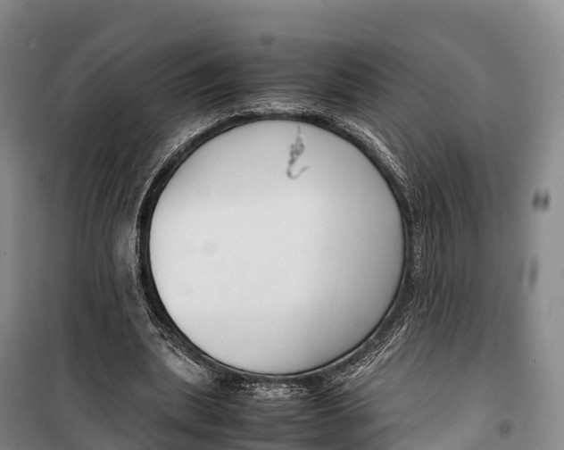 X0000099230439200805151633