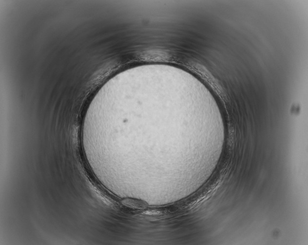 X0000099230441200805151633