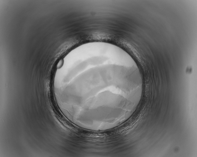 X0000099230443200805151633