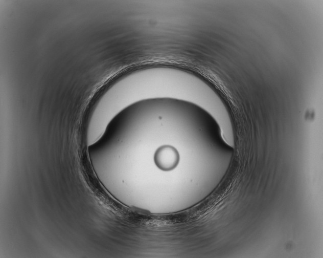 X0000099230444200805151633