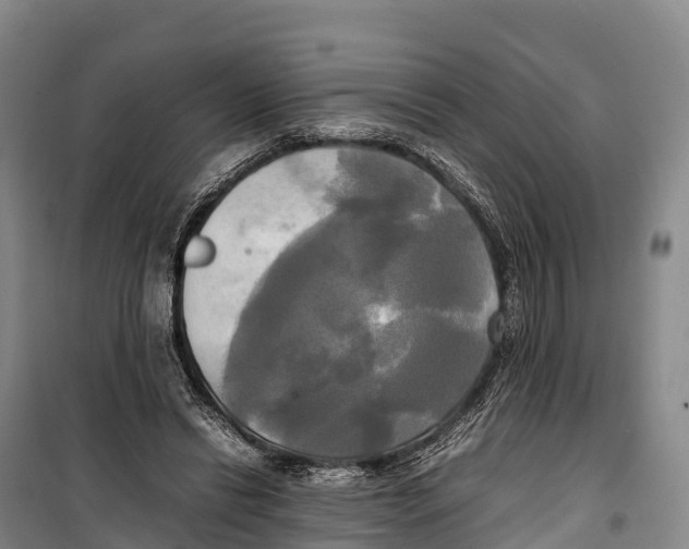 X0000099230446200805151633