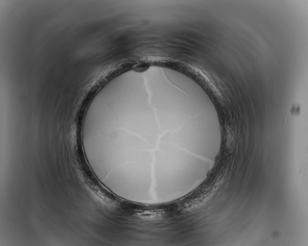 X0000099230447200805151633