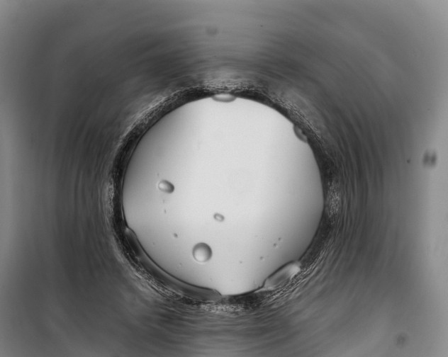 X0000099230448200805151633