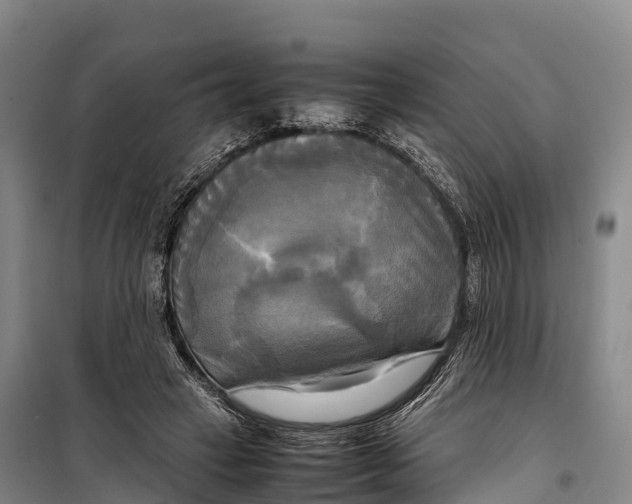 X0000099230449200805151633