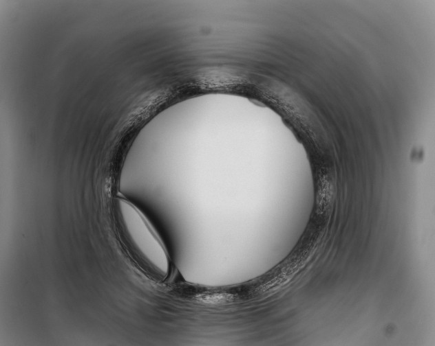 X0000099230452200805151633