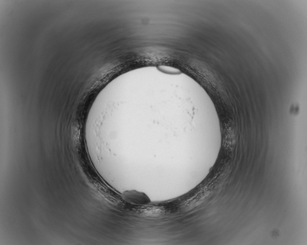 X0000099230456200805151633