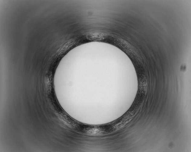 X0000099230460200805151634