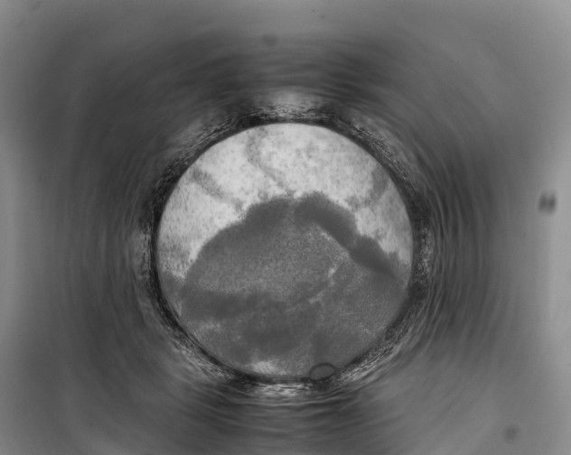 X0000099230461200805151634