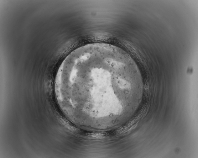 X0000099230462200805151634