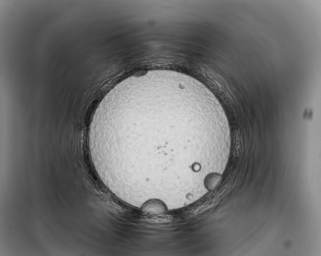 X0000099230463200805151634