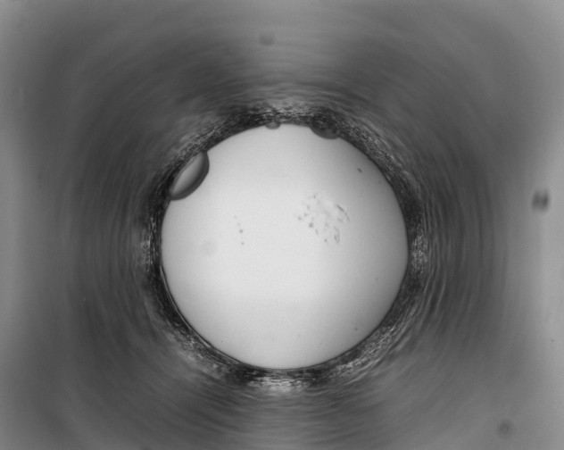 X0000099230464200805151634