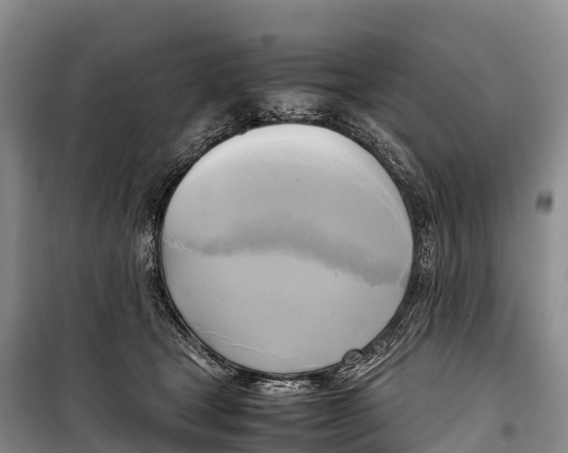 X0000099230465200805151634