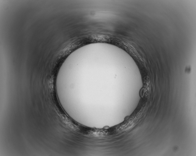 X0000099230466200805151634