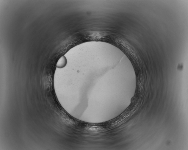 X0000099230467200805151634